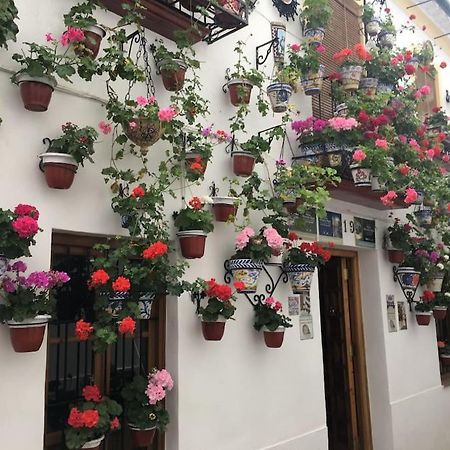 Apartamento Zoco Córdoba Exterior foto
