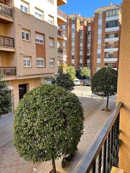 Apartamento Zoco Córdoba Exterior foto