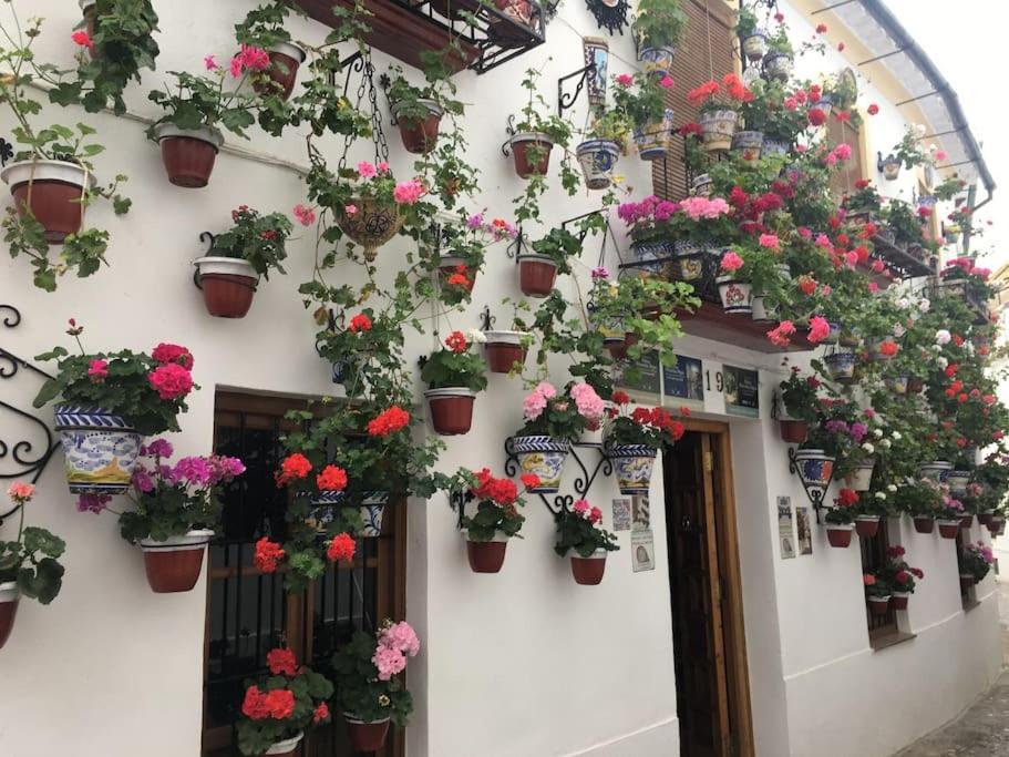 Apartamento Zoco Córdoba Exterior foto